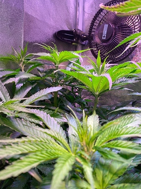 Growreport Bild 2