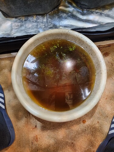 Growreport Bild 9