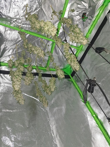 1627230032099960133752620861