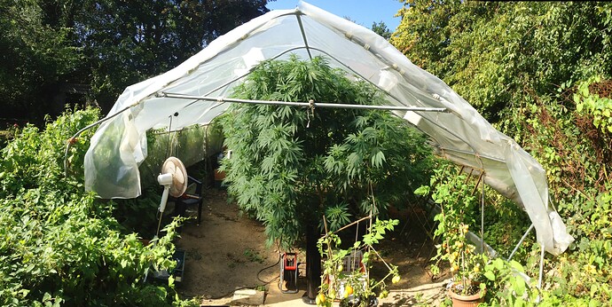 Growreport Bild 14