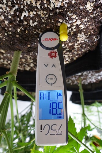 Growreport Bild 19