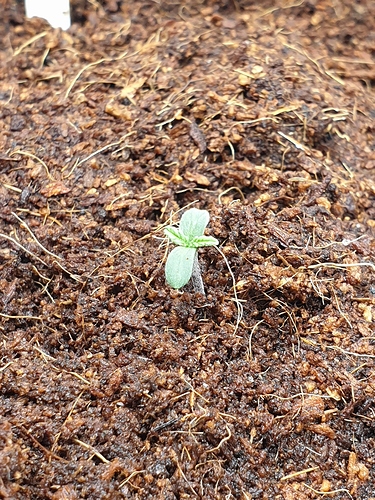 Growreport Bild 8