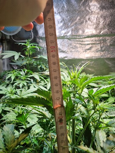 Growreport Bild 22
