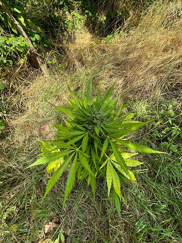 Growreport Bild 11