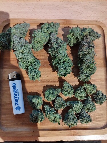 Growreport Bild 27