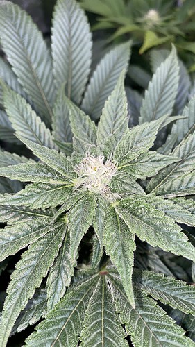 Growreport Bild 23