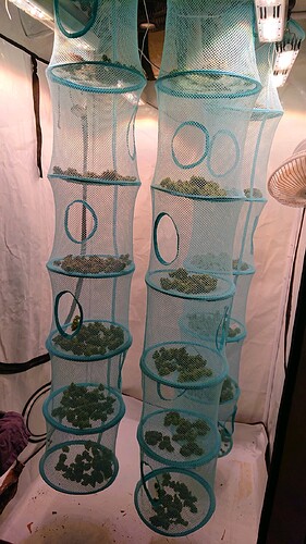 Growreport Bild 4