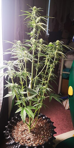 IMG_20231226_143927