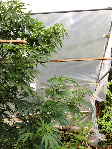 Growreport Bild 6