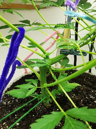 Growreport Bild 8