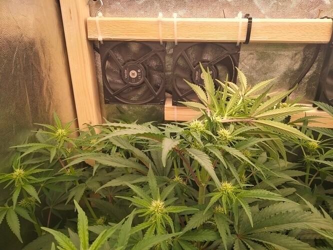 Growreport Bild 6
