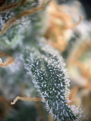 Growreport Bild 16