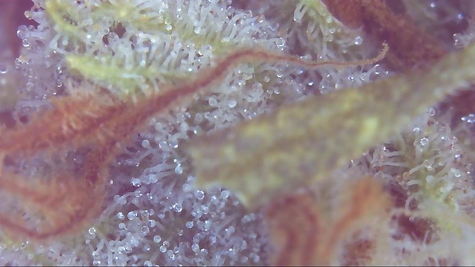 Growreport Bild 14