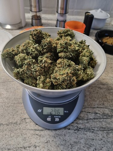 Growreport Bild 56