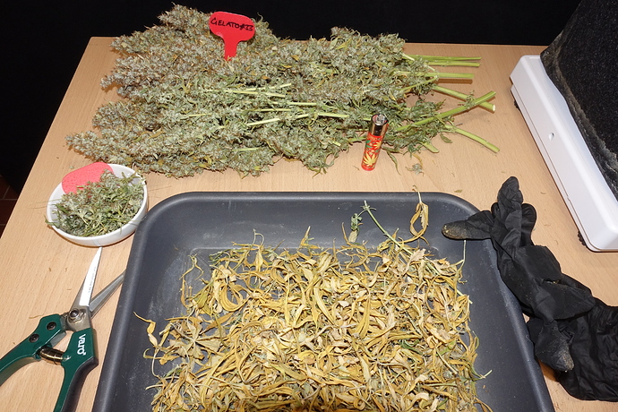 Growreport Bild 1