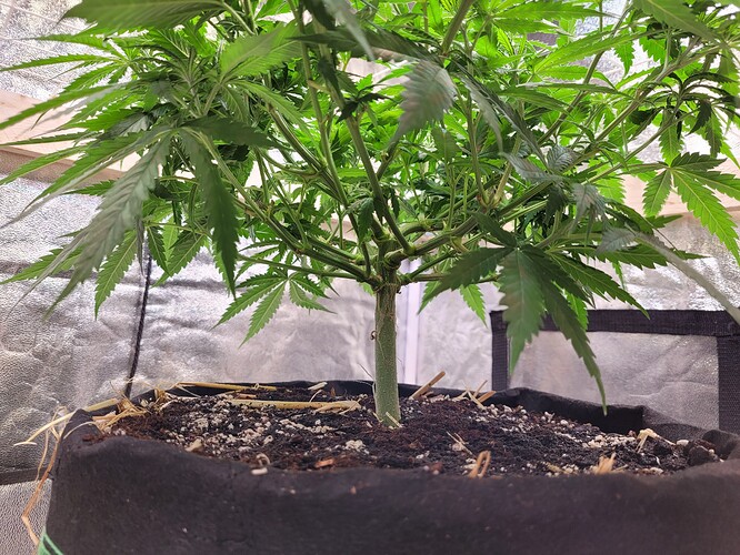 Growreport Bild 2