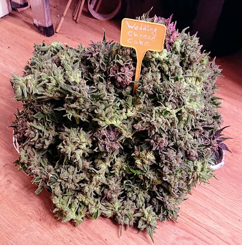 Growreport Bild 7