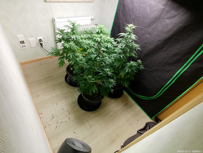 Growreport Bild 24