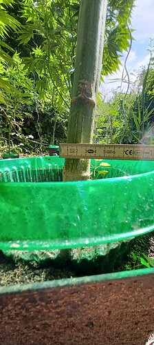 Growreport Bild 5