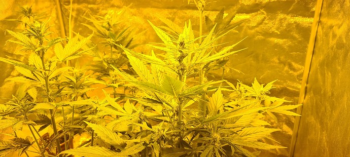 Growreport Bild 14