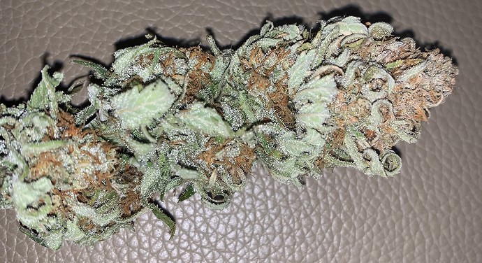 Growreport Bild 1