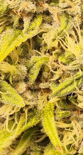 Growreport Bild 12