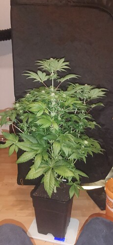 Growreport Bild 14