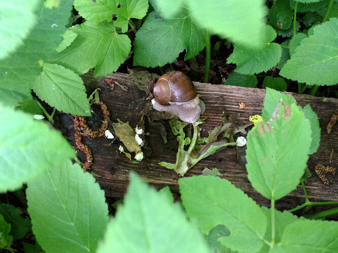 Growreport Bild 45