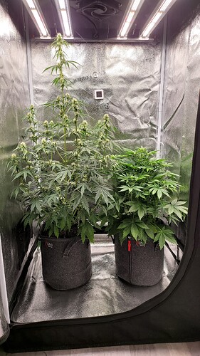 Growreport Bild 4