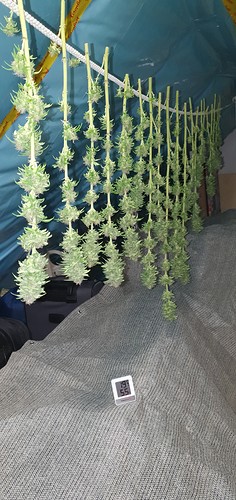 Growreport Bild 5