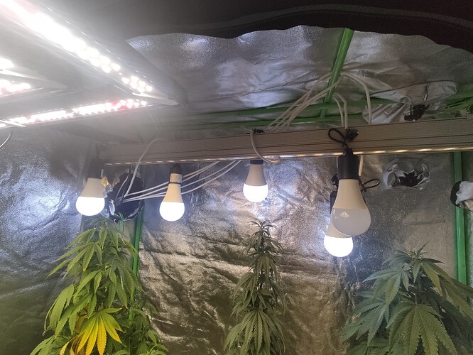 Growreport Bild 6