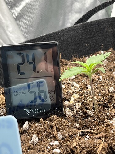 Growreport Bild 8