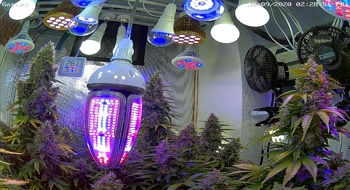 Growreport Bild 34