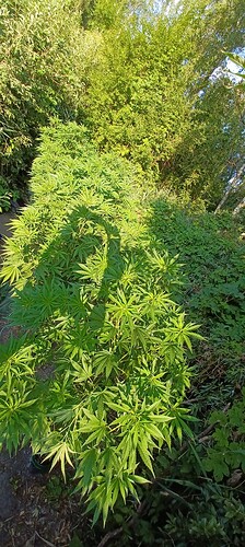 Growreport Bild 1