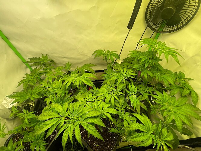 Growreport Bild 23