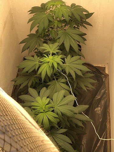 Growreport Bild 4