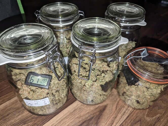 Growreport Bild 6