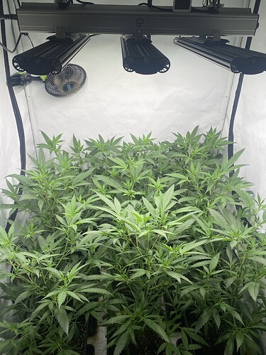 Growreport Bild 4