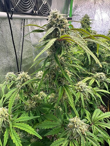 Growreport Bild 20