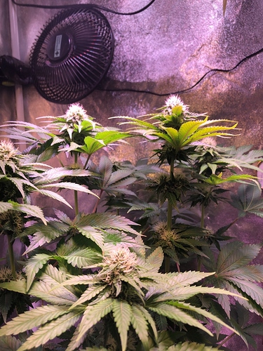 Growreport Bild 24