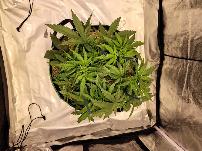 Growreport Bild 8