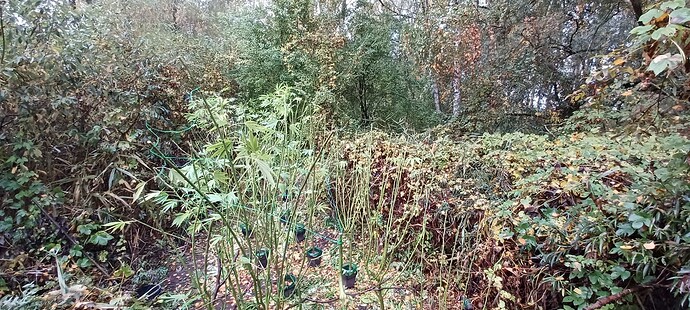 Growreport Bild 8