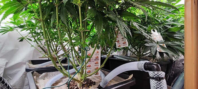 Growreport Bild 11