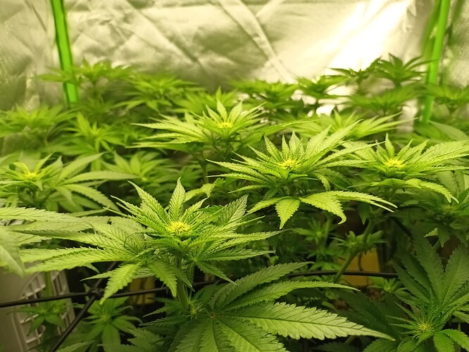 Growreport Bild 13