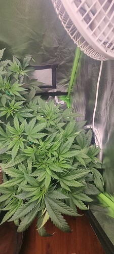 Growreport Bild 11