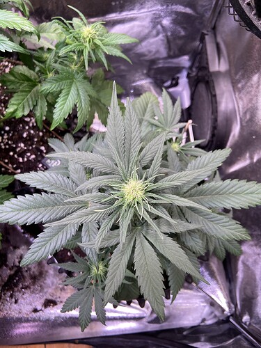 Growreport Bild 16