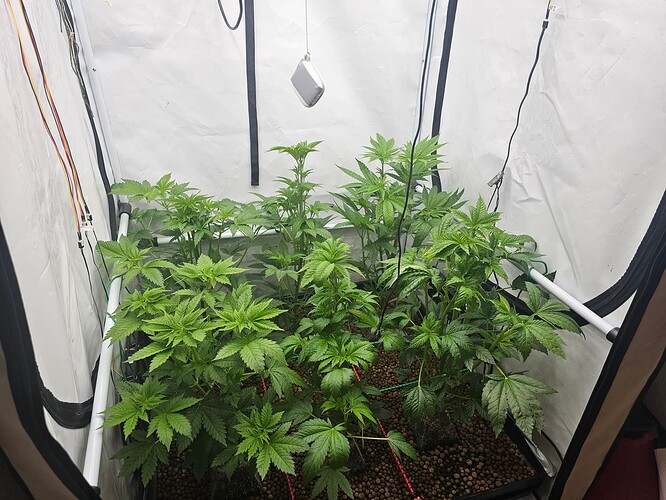 Growreport Bild 5