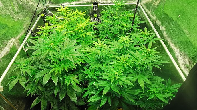 Growreport Bild 17