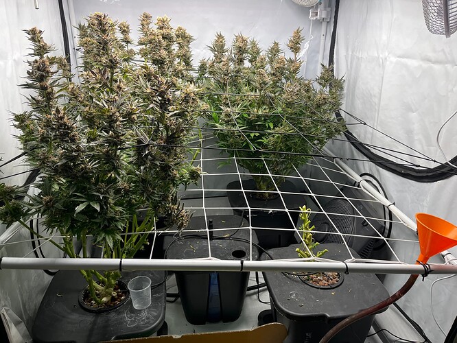 Growreport Bild 5