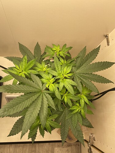 Growreport Bild 5